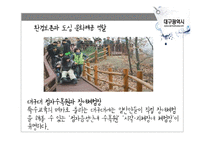 대학도시로서 대구시의 역할과 기능-15
