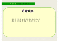 [사회복지] 가족수준의 개입-가족치료, 지역사회수준의 개입-4