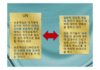 국제기구의 인도주의적 개입의 정당성-12