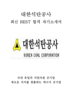 대한석탄공사 인턴 최신 BEST 합격 자기소개서!!!!-1