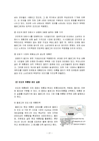 kellogg 켈로그 해외진출 글로벌마케팅 사례분석과 켈로그 마케팅실패사례분석및 켈로그 문제점과 발전전략 제안-12