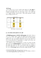 빙그레 바나나맛우유 중국시장진출 마케팅레포트(바나나맛우유 중국 마케팅 SWOT,STP,4P전략분석및 바나나우유 브랜드분석및 향후전망)-7