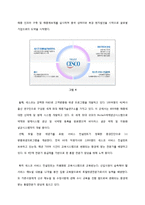 세스코 CESCO 해외진출(필리핀) 글로벌마케팅 전략 분석과 서비스전략분석및 세스코 필리핀 현지화전략과 시사점-6