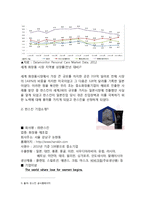 HANSKIN 한스킨 경영분석과 한스킨 일본진출전략 사례분석과 한스킨 새로운 전략제안 레포트-3