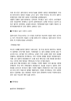 HANSKIN 한스킨 경영분석과 한스킨 일본진출전략 사례분석과 한스킨 새로운 전략제안 레포트-12