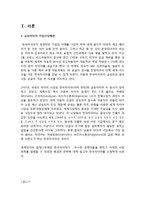 금호타이어 스포츠마케팅 전략분석과 금호타이어 개선점및 향후전망 레포트-2