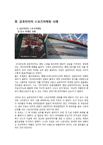 금호타이어 스포츠마케팅 전략분석과 금호타이어 개선점및 향후전망 레포트-5