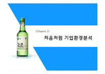 [처음처럼 시장점유율 확대위한 마케팅전략 PPT] 처음처럼 브랜드분석과 처음처럼 마케팅사례분석과 마케팅전략기획-3