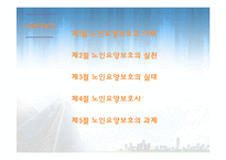 노인요양보호(이해, 실천, 실태, 노인요양보호사, 과제, 노인복지론) PPT 파워포인트 발표-2