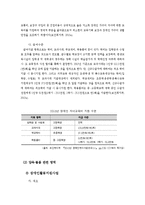 장애인복지정책(장애인개념, 유형, 장애인복지제도, 장애인복지정책현황, 문제, 해결방안, 장애인복지발전방향)-5