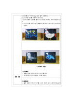 보육계획 동물 교육 프로그램 일, 주, 월간 계획-12