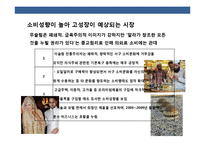 이슬람 시장의 이해 및 시장 진출 전략-6
