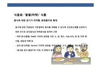 이슬람 시장의 이해 및 시장 진출 전략-14