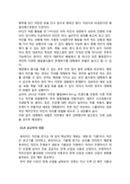 BBQ 비비큐 브랜드분석과 BBQ 성공요인분석및 향후시사점 레포트-11