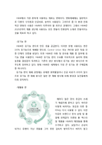 H&M 브랜드분석과 H&M CSR 사례분석 레포트-10