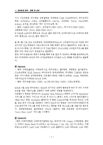 주요항공사(케세이퍼시픽,대한항공,중국남방항공,에미레이트,루프트한자) 경영전략과 글로벌 물류전략분석및 향후전망 분석 레포트-4