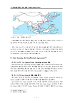 주요항공사(케세이퍼시픽,대한항공,중국남방항공,에미레이트,루프트한자) 경영전략과 글로벌 물류전략분석및 향후전망 분석 레포트-14