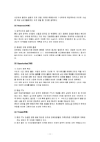 혼다의 미국진출 성공사례와 인도진출 실패사례-8