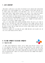 기업들의 신규사업 성공,실패 사례분석 레포트(CJ오쇼핑,락앤락,LG상사 신규사업 진출 성공및 실패사례 분석)-2
