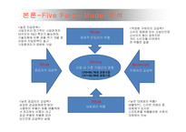 삼성전자 스마트폰 국제경영 사례분석(삼성전자 갤럭시 스마트폰 미국시장내 마케팅 SWOT,STP,4P전략분석과 삼성전자 미국진출 성공요인분석)-17