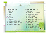 가족치료이론(구조적 가족치료와 가족정서체계치료 중심으로) PPT, 파워포인트-2