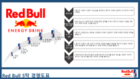레드불 REDBULL 한국시장 마케팅전략사례분석과 레드불 향후전략제안 PPT-4