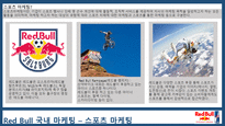 레드불 REDBULL 한국시장 마케팅전략사례분석과 레드불 향후전략제안 PPT-5