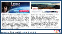 레드불 REDBULL 한국시장 마케팅전략사례분석과 레드불 향후전략제안 PPT-7