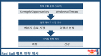 레드불 REDBULL 한국시장 마케팅전략사례분석과 레드불 향후전략제안 PPT-10