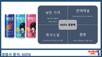 레드불 REDBULL 한국시장 마케팅전략사례분석과 레드불 향후전략제안 PPT-14