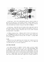 디스플레이장치 - CRT, LCD, PDP, LED와 그 밖의 차세대 디스플레이-4
