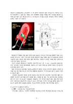 디스플레이장치 - CRT, LCD, PDP, LED와 그 밖의 차세대 디스플레이-9