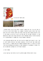 이상기후 - 국내 및 국외 이상기후 변화에 사례조사-3