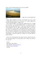 환경과 인간 ? 새만금 사업에 대하여-7