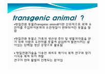 발생공학 - 형질전환동물 [transgenic animal, 形質轉換動物]-3