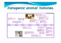 발생공학 - 형질전환동물 [transgenic animal, 形質轉換動物]-4
