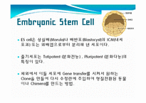발생공학 - 형질전환동물 [transgenic animal, 形質轉換動物]-9