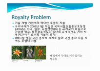 발생공학 - 형질전환동물 [transgenic animal, 形質轉換動物]-14