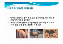 발생공학 - 형질전환동물 [transgenic animal, 形質轉換動物]-17