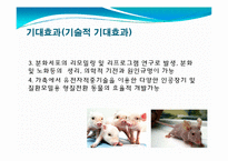 발생공학 - 형질전환동물 [transgenic animal, 形質轉換動物]-18