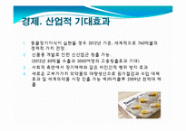 발생공학 - 형질전환동물 [transgenic animal, 形質轉換動物]-19