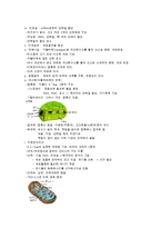 [일반생물실험보고서] 동식물 세포 관찰-5
