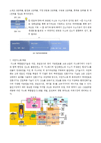 에너지 - 2050년 미래의 에너지 개발-4