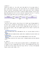에너지 - 2050년 미래의 에너지 개발-5
