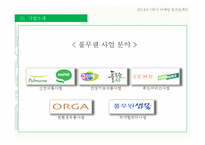 풀무원 기업분석및 풀무원 마케팅전략 분석 PPT-5
