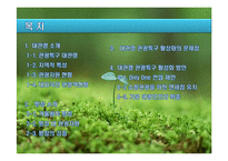 대관령 관광특구의 문제점과 활성화 방안-2
