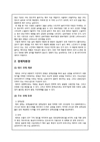 SKINFOOD 스킨푸드 기업분석및 태국시장진출 마케팅 SWOT,STP,4P전략 분석과 스킨푸드 문제점분석및 해결방안제언-5