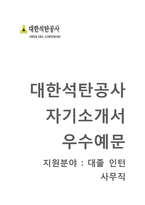 (대한석탄공사자기소개서 + 면접기출문제) 대한석탄공사(인턴사원사무직) 자기소개서 합격예문 [대한석탄공사자소서인턴채용첨삭항목]-1