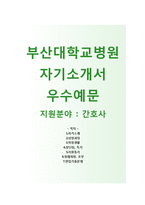 (부산대학교병원자기소개서 + 면접기출문제) 부산대병원(간호사) 자소서 합격예문 [부산대병원자소서부산대병원자소서항목]-1