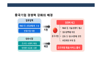 중국내수 기업의 발전 및 사례 분석-8